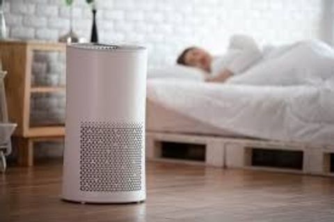 Guide to Best Air Purifiers for Every Room: Dyson, Philips & More
